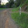 Beginning of the Stonewall Trail which is an old wagon road.