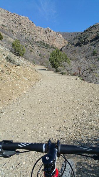 Looking up the trail facing east.