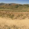 On Bane Ridge Trail before Sidewinder..this is one trail but the panorama mode makes it look this way..left is continuing on Bane Ridge.