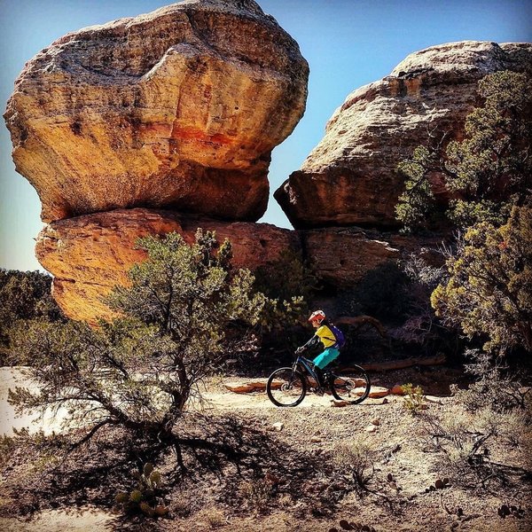 Rock formations along Gooseberry Mesa.