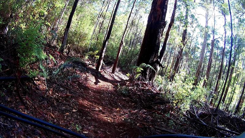 One of the many trails at Pemberton Mountain Bike Park.