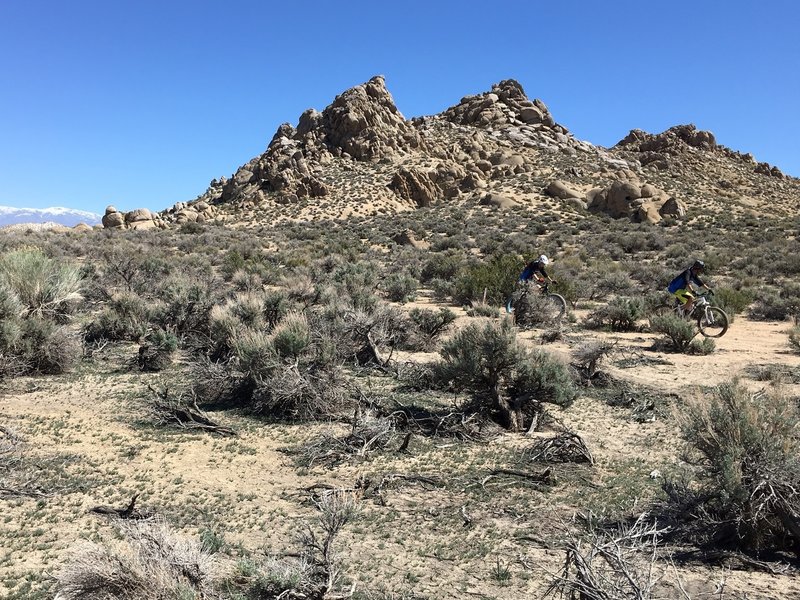 Riding high desert singletrack.