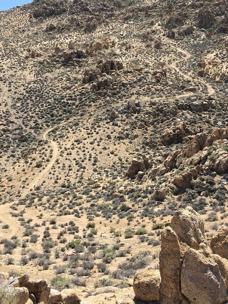 Steep, fun, tech-singletrack through neat rocks.