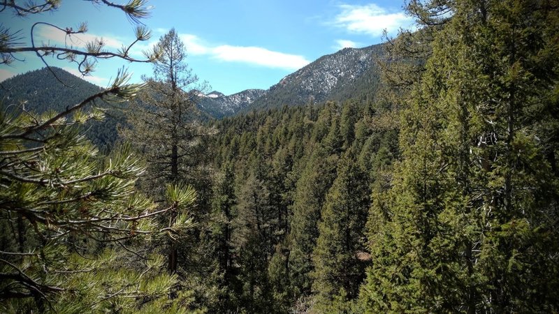 View west to Mount Garfield.