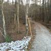 Beginning of Cedar Ridge Trail from Ebenezer Church Road Bridge gate entrance.