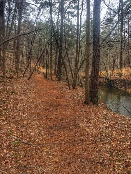 The trail passes along the creek here.