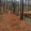 The trail passes along the creek here.