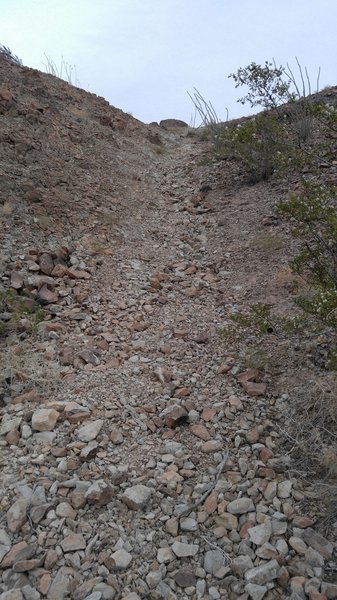 One of the few places with loose tread on this part of the trails.