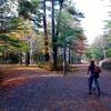 Shannon and a fork in the road, Acadia National Park, Maine.