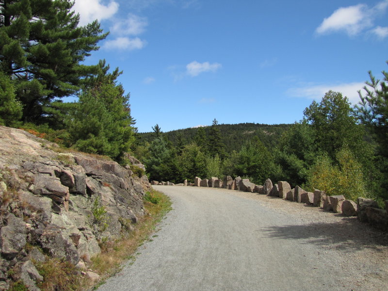 Acadia Carriage Road.