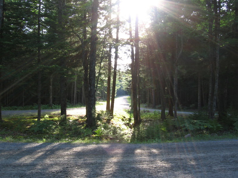 Day Mountain Loop, Sign Post 38, looking west.