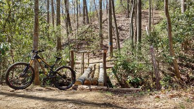 Log bridge at entrance to Stair Step Trail. Stair Step Falls off to the left, but somewhat inaccessible.