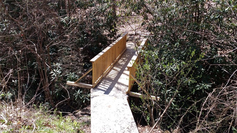 Entrance to trail system off Big Hungry Road. Difficult to spot from road.