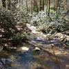 Water crossing on Pulliam Creek Trail.