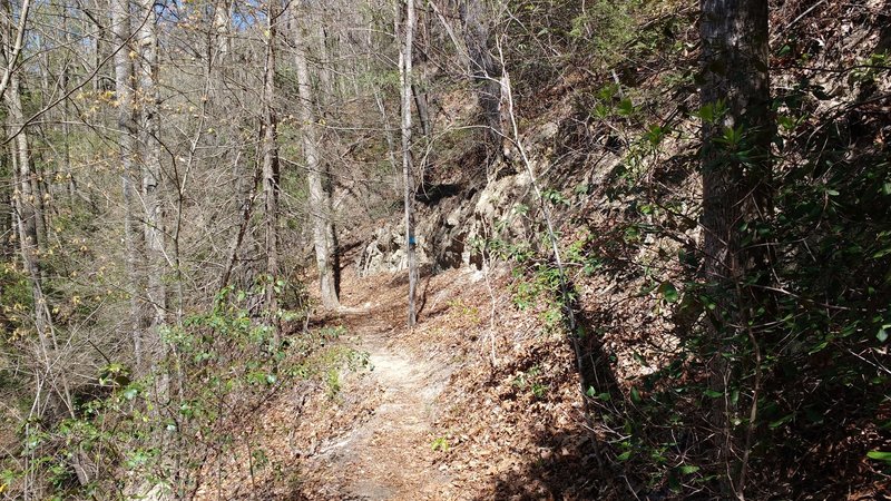 Interesting 'sand cliff' formations on the side of  Pulliam Creek Trail.