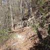 Interesting 'sand cliff' formations on the side of  Pulliam Creek Trail.