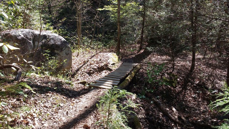 One of a few primitive bridges found on the Green River Cove Trail.