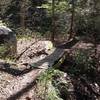 One of a few primitive bridges found on the Green River Cove Trail.