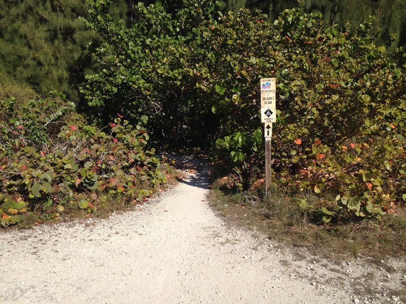 Trail entrance.