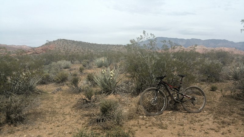 Looking to the west from Prospector Trail. What a fun trail.