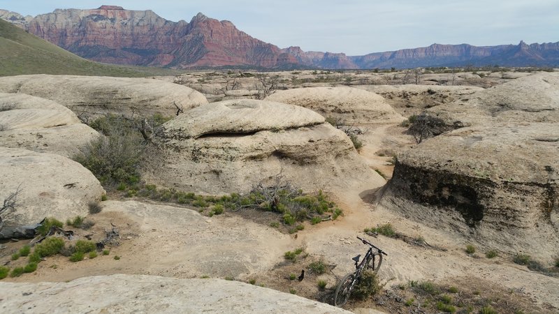 I used to listen to The HooDoo Gurus in high school, and now I'm riding with them. Looking east towards Zion. The greenish mound on the left of the picture is the edge of the cinder cone. Fun ride.