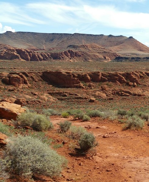 Looking east from the ridge area.