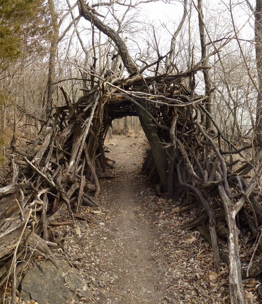 Tunnel teepee at White Trail. with permission from opscene