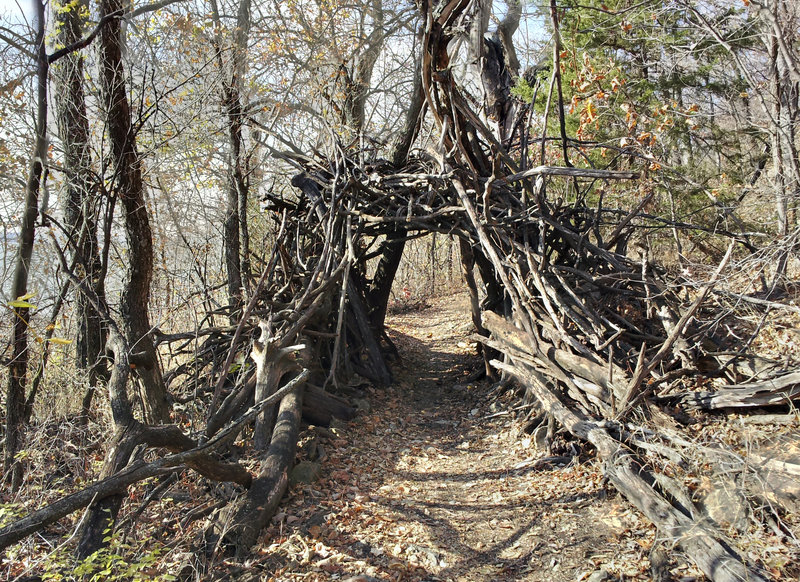 A tunnel of tree limbs on the Blue Trail. with permission from opscene