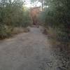 Start and finish - just before you get to the T with East Las Virgenes Canyon Trail.