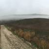 Early morning fog on East Las Virgenes.