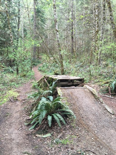 There is a sweet jump at the end of the Cedar Run Trail! It's one-way only for a reason!