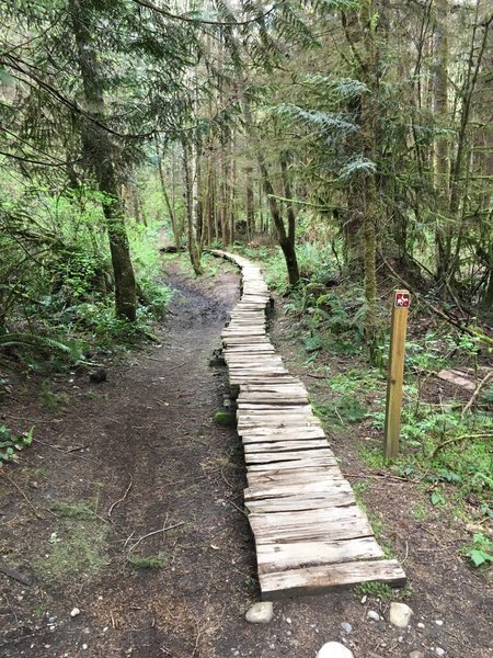 Great boardwalk bridge to test your balance skills and to skip the muddy area.