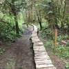 Great boardwalk bridge to test your balance skills and to skip the muddy area.