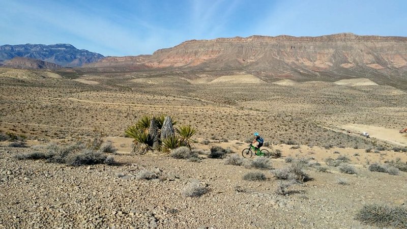 Woman on a bike enjoying Man with a Van trail.