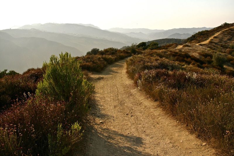 Topanga State Park near Parker Mesa Overlook. with permission from laollis