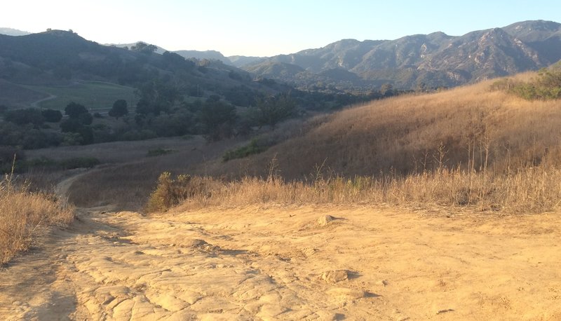 This is looking down Las Virgenes Canyon.