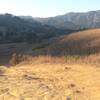 This is looking down Las Virgenes Canyon.