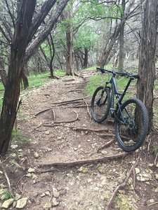 Be prepared for roots and rocks all along Muleshoe Bend.