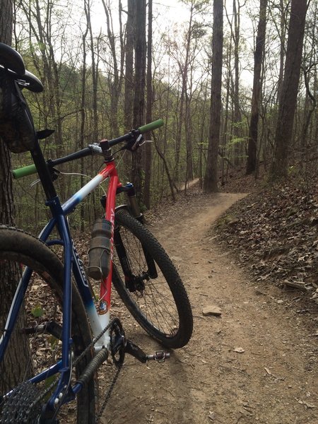 Flowy fast singletrack with some exposure next to Sope Creek.