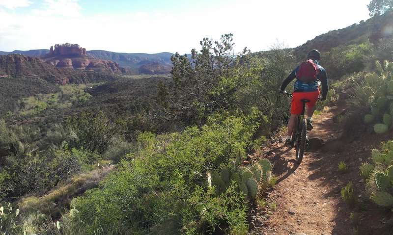 Riding east-west on the south side of Airport Loop. Cacti and babyheads aplenty! Great views of Courthouse Butte, Bell and Cathedral Rock (left background).