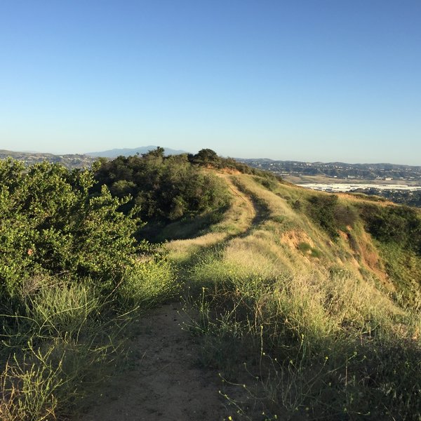 Trail on the ridge near the top.