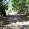 Narrow section of Vollmer Peak Trail.