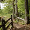 Trail near the start of the loop, at the edge of Willowdale meadow.