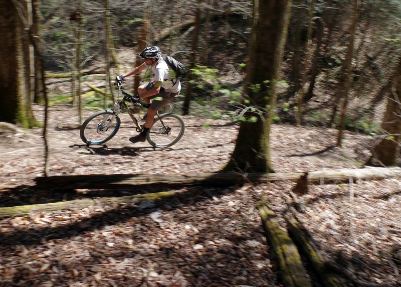 Riding the Hillbilly Hayduke Trail, Flat Hollow, KY.