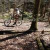 Riding the Hillbilly Hayduke Trail, Flat Hollow, KY.