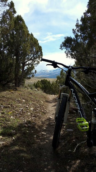 Looking south from Wiggle Worms.