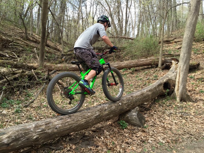 Riding one of the many fun technical features at Lebanon Hills! A great intermediate trail system with some advanced "B" line features you go ride around or challenge your friends on, like this log!