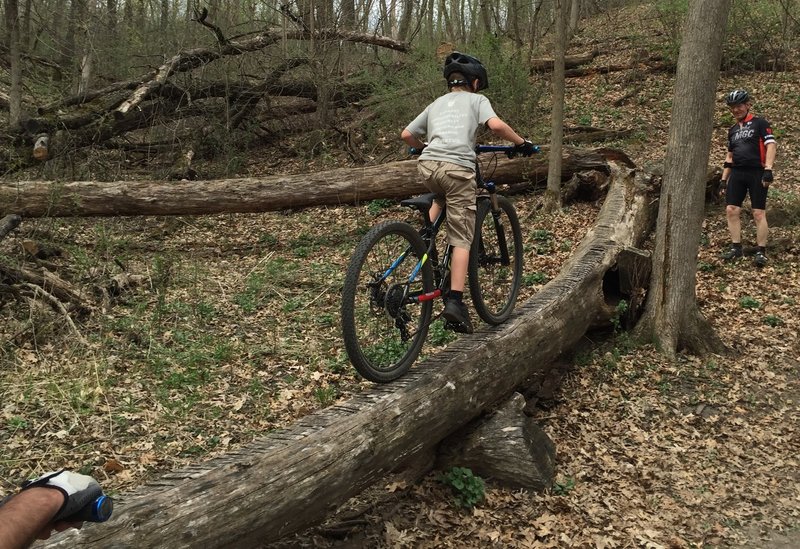 With practice you can ride the feature and challenge your buddies! 9-year-old Peter riding the log on his third attempt!