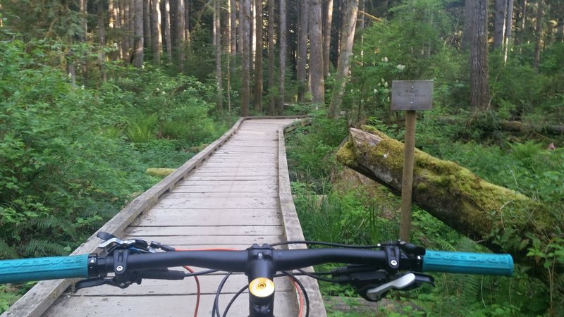 Paying respects to Mike O while riding across the Puncheon Bridge.