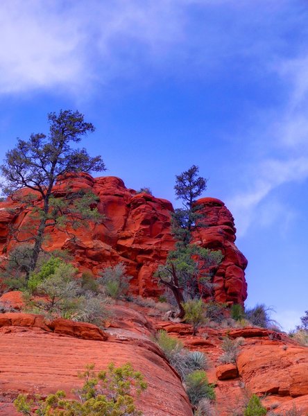 Red rock looms over the Broken Arrow Trail.